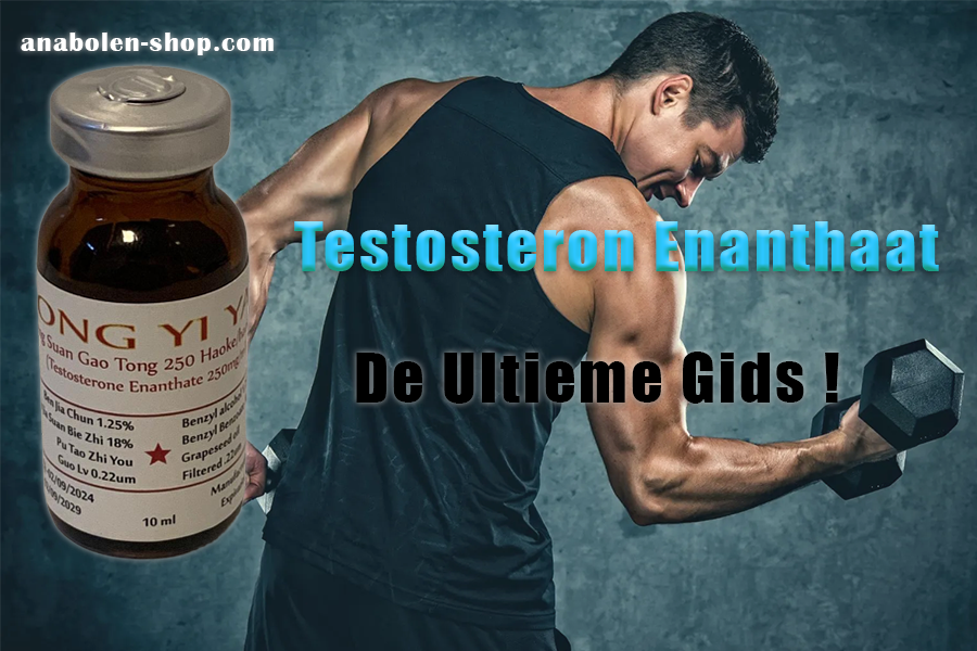 Testosteron Enanthaat werking kopen